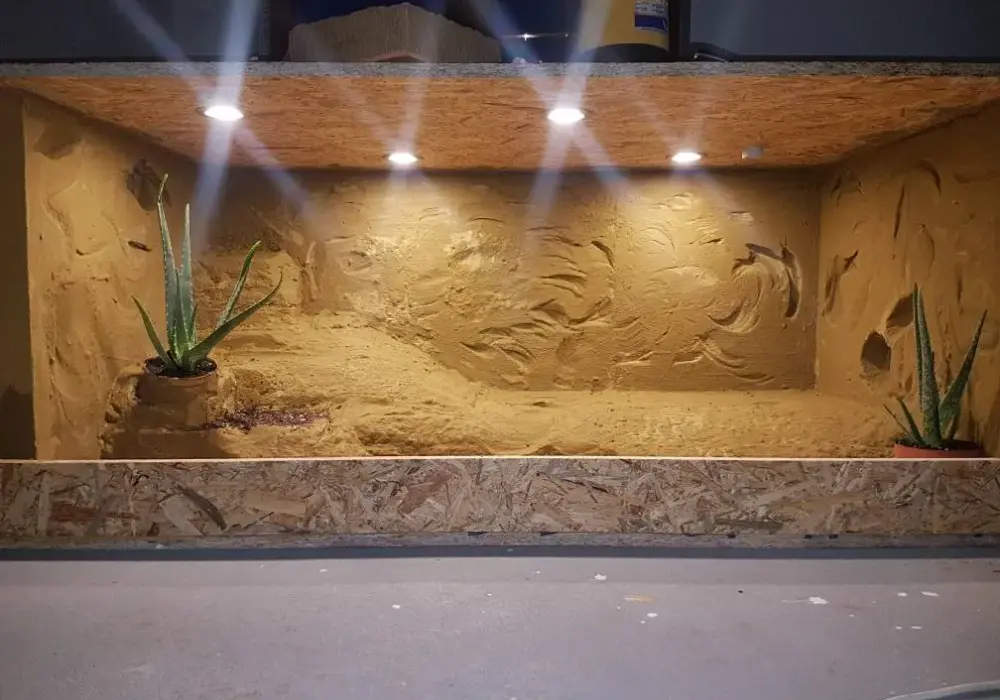Jak zrobić terrarium z płyty OSB - prosty poradnik budowy krok po kroku