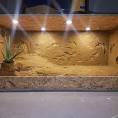 Jak zrobić terrarium z płyty OSB - prosty poradnik budowy krok po kroku